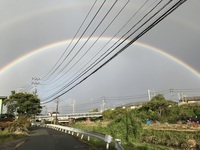 雨上がりの虹.jpg